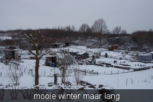 sneeuw tuin 001