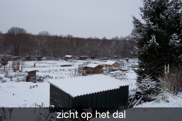 sneeuw tuin 002