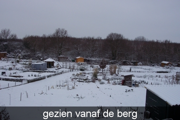 sneeuw tuin 003