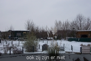 sneeuw tuin 004