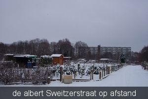 sneeuw tuin 006