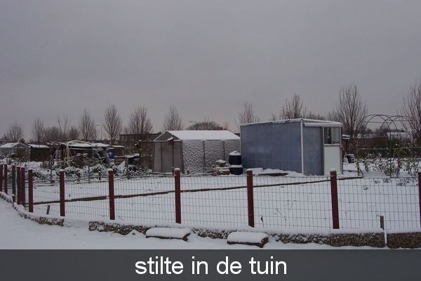 sneeuw tuin 008