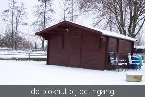 sneeuw tuin 009