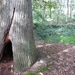 Leopoldsburg 088