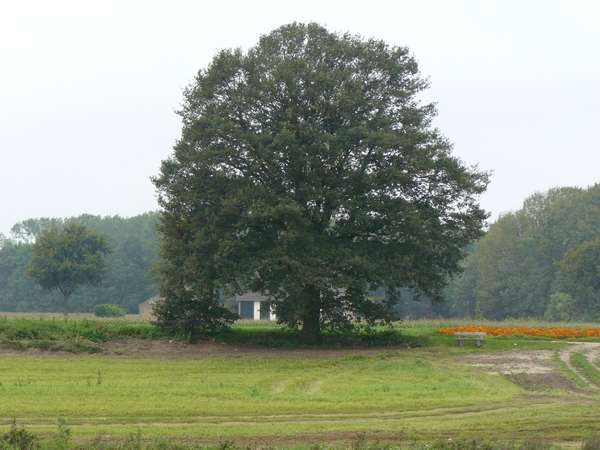 Weerterbergen Min 004