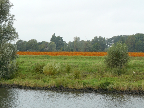 Weerterbergen Min 009