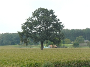 Weerterbergen Min 033