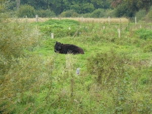 Weerterbergen Min 061