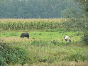 Weerterbergen Min 075