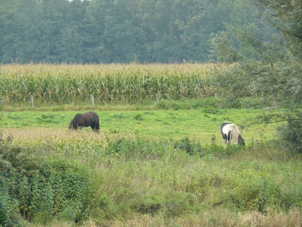 Weerterbergen Min 075