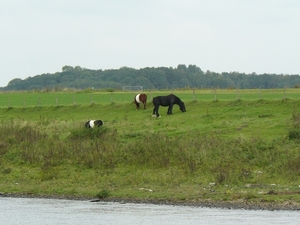 Weerterbergen Min 081