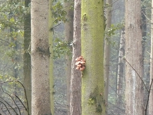 Weerterbergen Min 088