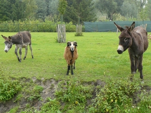 Weerterbergen Min 089