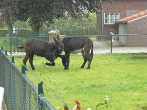 Weerterbergen Min 108