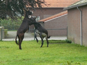 Weerterbergen Min 109