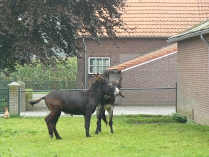 Weerterbergen Min 110