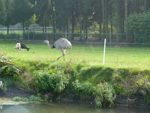 Weerterbergen Min 125