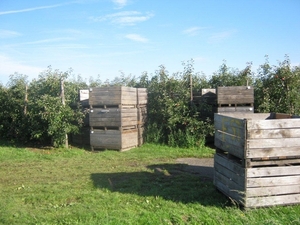 Fietsen Westuit Hamme-Mille 2010 043