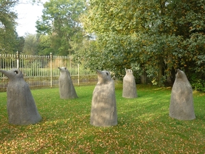 10.10.12.DEINZE 004