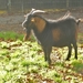 10.10.12.DEINZE 034
