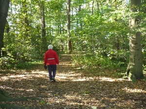 10.10.17.ST MICHIELS.NOG  EEN BOSJE