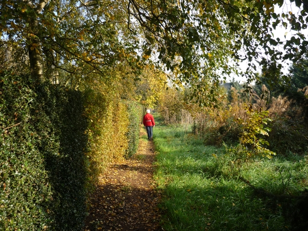 10.11.01.LANDEGEM.HERFT