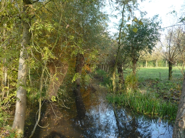 10.11.01.LANDEGEM.NATUUR