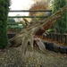 10.11.07.BOEKHOUTE.OOK KUNST
