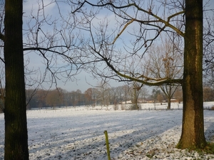 10.11.28. URSEL IN DE WINTER