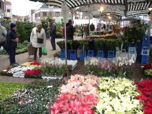 10.12.11.KNOKKE MARKT