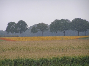 Weerterbergen Dikkie 037