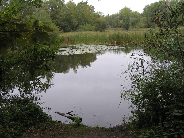 Weerterbergen Dikkie 102