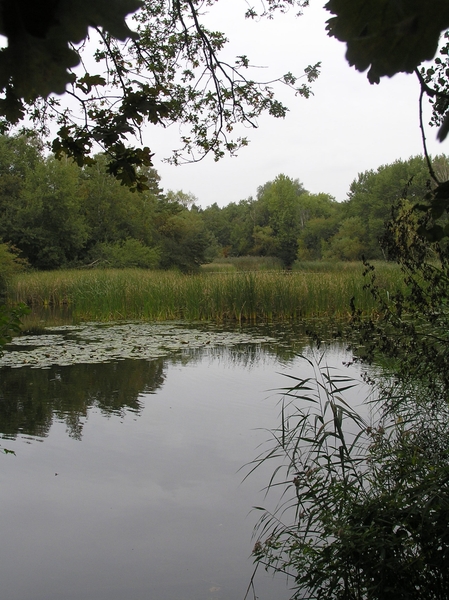 Weerterbergen Dikkie 103