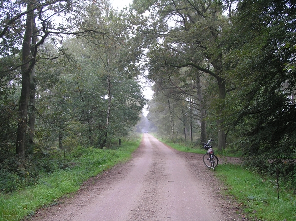 Weerterbergen Dikkie 123