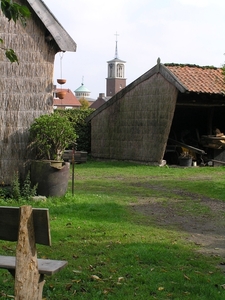 Weerterbergen Dikkie 153