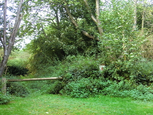 CIMG0061