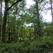CIMG0080