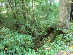 CIMG0084