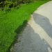 CIMG0098