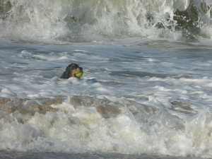 P1140002