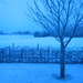 SneeuwJan05 002