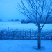 SneeuwJan05 002