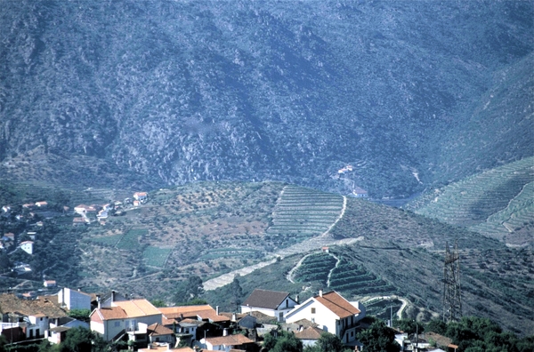 Vallei van de Douro