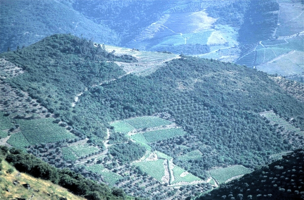 Vallei van de Douro