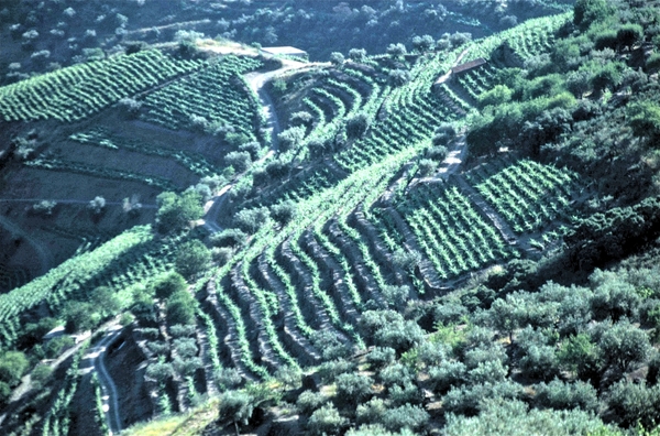 Vallei van de Douro