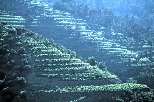 Vallei van de Douro