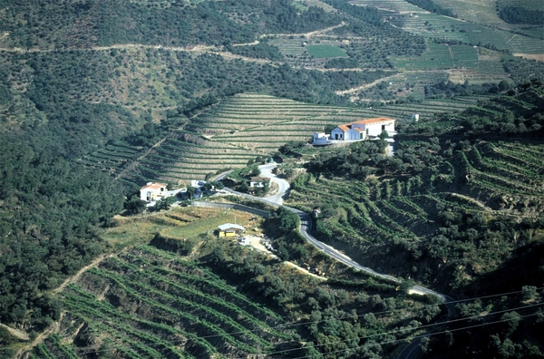 Vallei van de Douro