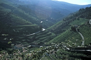 Vallei van de Douro