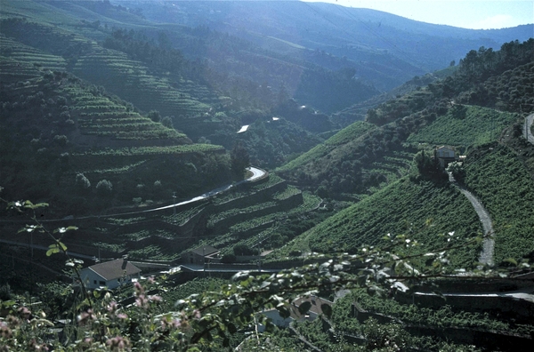 Vallei van de Douro