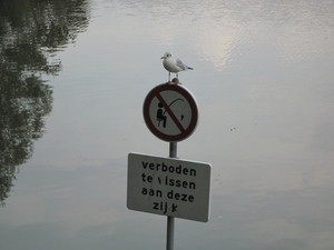 Weerterbergen canon 003